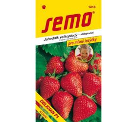 Jahoda delician f1 12s