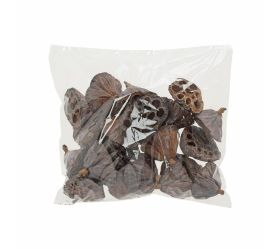 Lotos stredný 20ks/i124n-20