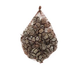 Cyprys cypressus 300g striebro tu-2213