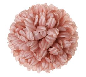 Hlava chryzantéma st.ružová 14cm bal:12ks