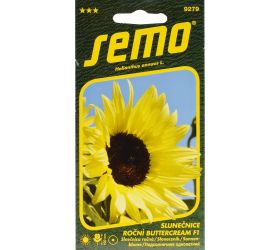 Slnečnica ročná butter cream f1 2g