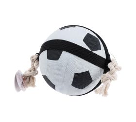 Hračka pre psov lopta 19cm 491014120