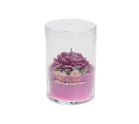 Voň.v skle pivonia veľká pudr.ruž. 350gr