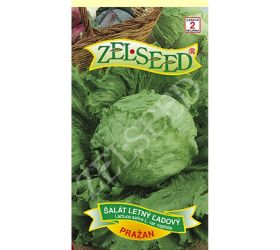 Šalát ľadový pražan 0,70g