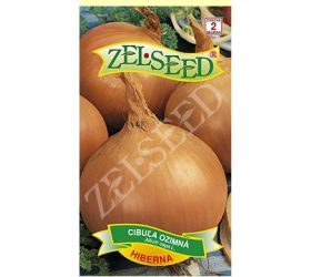 Cibuľa zimná hiberna 2g