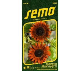 Slnečnica ročná claret f1 2g