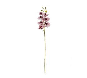 Ks orchidea x7 73cm fialovobiela