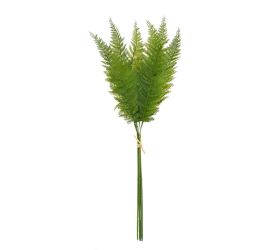 Zeleň papraď zväzok  x6 78cm