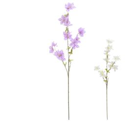 Ks clematis mix/2f 95cm