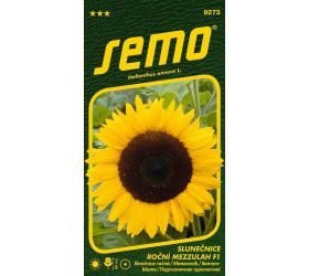 Slnečnica ročná mezzulah f1 2g