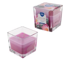 Voň.v skle trikolóra kaktus /snk80-312/ 170gr