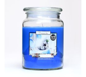 Voň.v skle s vrchn.antitabac/snd99-69/500gr 15cm