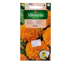 Aksamietnica oranž. hawai 1g