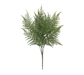 Zeleň papraď zelená 40cm