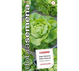 Šalát hlávkový cassini 0,4g