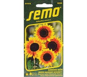 Slnečnica ročná orange mahogany bicolour f1 2g