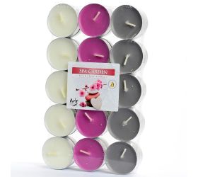 Čajové voňavé/30 ogród spa