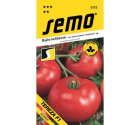 Rajčiak kríč tereza f1 50s