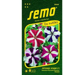 Xpetúnka mnohokv. starr f1 30p