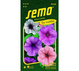 Petúnka mnohokv.zmes s orch.hviezdou 50p