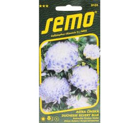 Astra čínska duchesse silvery blue 0,5g