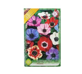 Anemone de cean mix