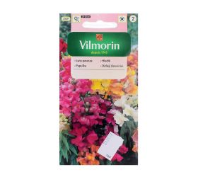 Papuľka magic carpet  1g