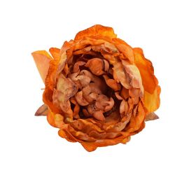 Ks hlava pivonka žltá 10cm