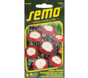 Astrovka čínska pompon red and white 0,5g