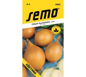 Cibuľa jarná všetana 2g