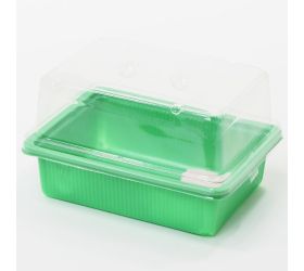 Miniparenisko herrison p2016, na priesady, 19.7x14x11 cm