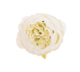 Hlava pivonka biela 7cm