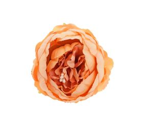 Hlava pivonka lososová 7cm