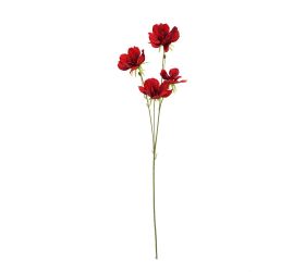 Ks cosmos červený 75cm