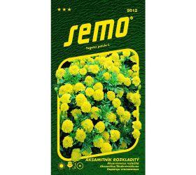 Aksamietnica rozl lemon drop 1g