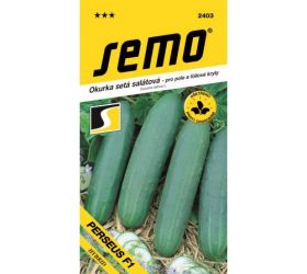 Uhorka šal perseus f1 1,3g