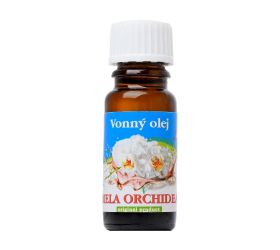 Biela orchidea cz