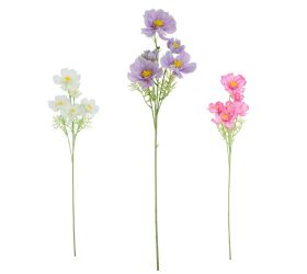 Ks cosmos mix/3f 85cm