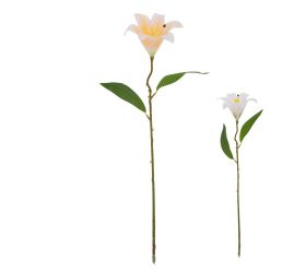 Ks ľalia mix/2f 47cm