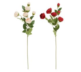 Ks pivonka 6-pukov, zeleň, mix/2f 63cm