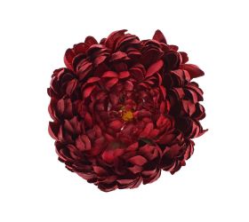 Hlava chryzantéma bordová bal/6 12cm