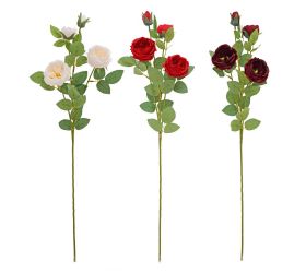 Ks ruža šípová mix/3f 68cm