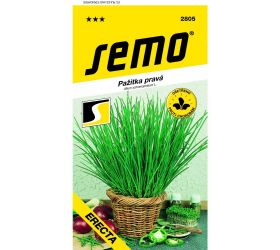 Pažítka pravá erecta 2g