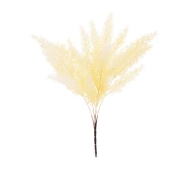 Zeleň asparát biely 37cm