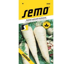 Petržlen koreňový jadran 2,5g