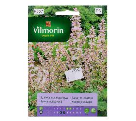 Šalvia muškátová 10/16