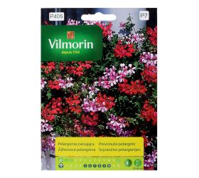 Previsnutá pelargónia mix