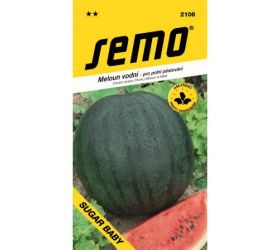 Melón vodový sugar baby 0,6g