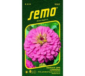 Cínia luminosa 0,7g