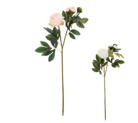 Ks pivónia x4 75cm mix 2f